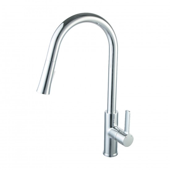 Single Handle Pull Down Kitchen Faucet – F01 201