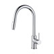 Single Handle Pull Down Kitchen Faucet – F01 206