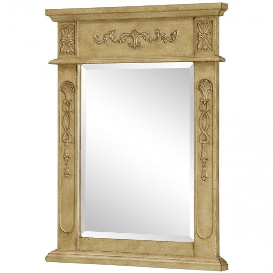 Elegant Lighting VM-1003 Vanity 28 X 22 inch Antique Beige Wall Mirror