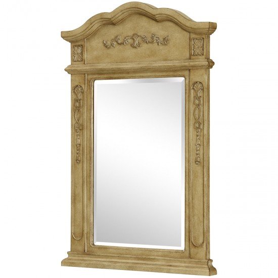 Elegant Lighting VM-1001 Vanity 36 X 24 inch Antique Beige Wall Mirror
