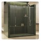 DreamLine SHDR-60 Enigma Fully Frameless Sliding Shower Door