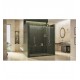 DreamLine SHDR-60 Enigma Fully Frameless Sliding Shower Door