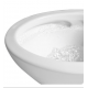 TOTO CST644CEFGT20#01 Carolina II One-Piece Connect+ Elongated Bowl with 1.28 GPF Single Flush